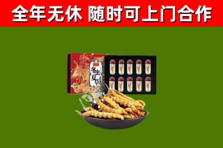 洪山回收冬虫夏草价格
